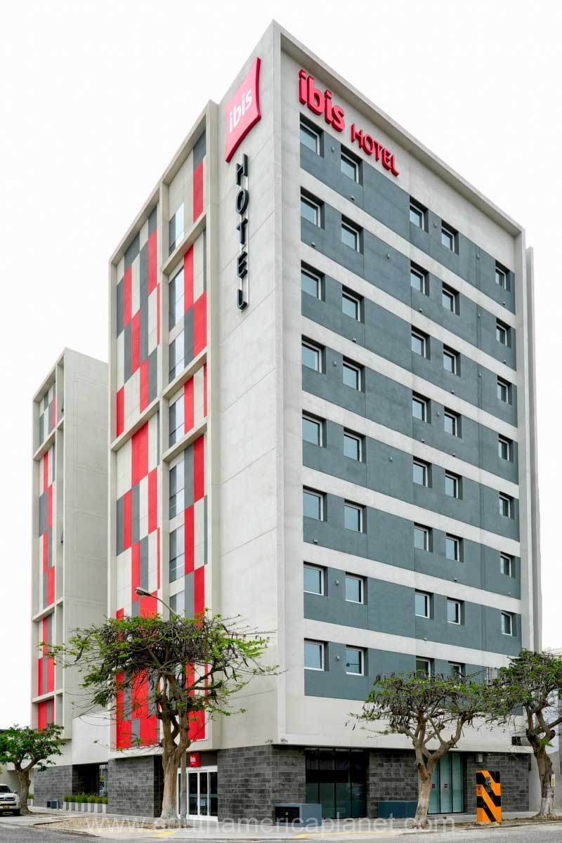 ibis rojo